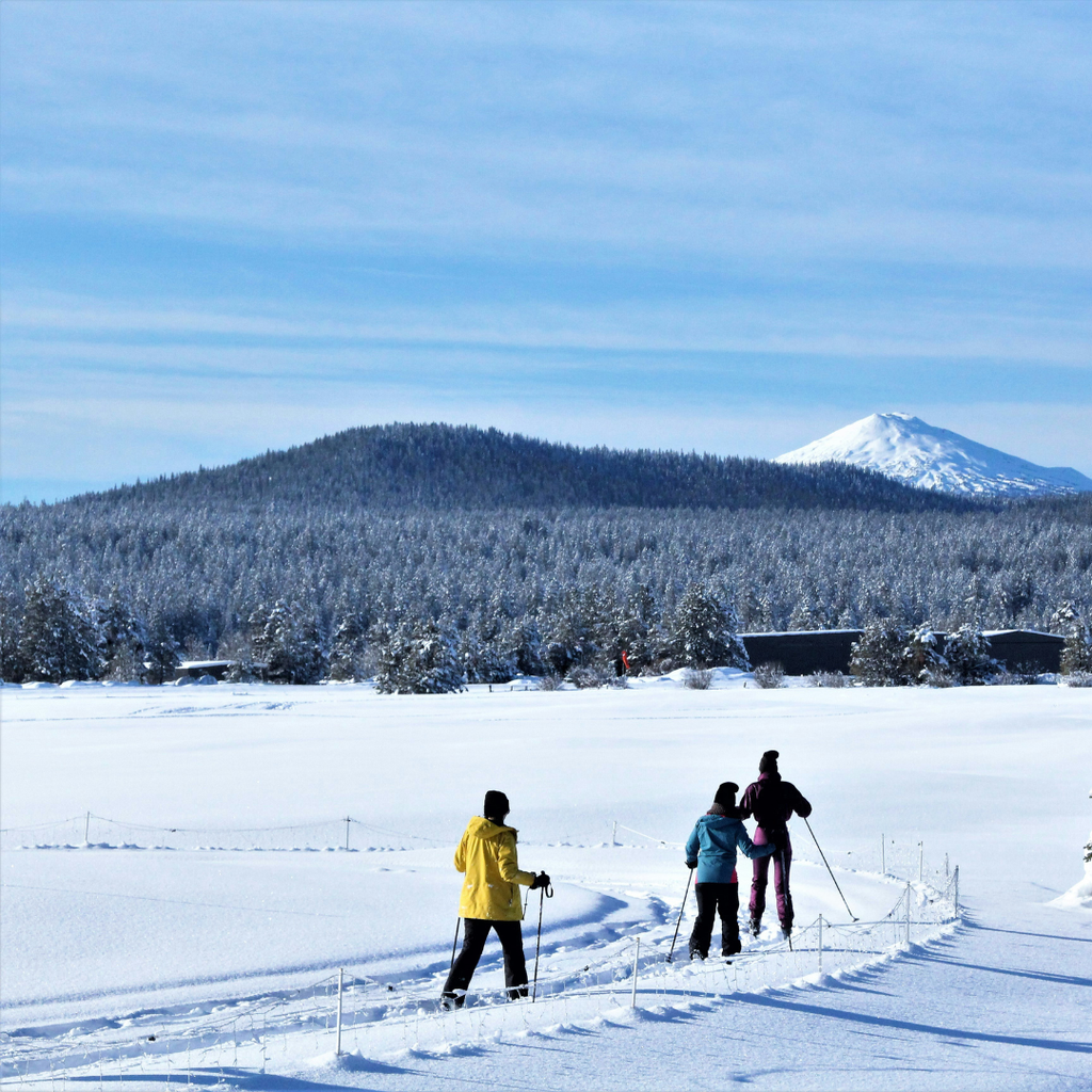 Other Season Rentals